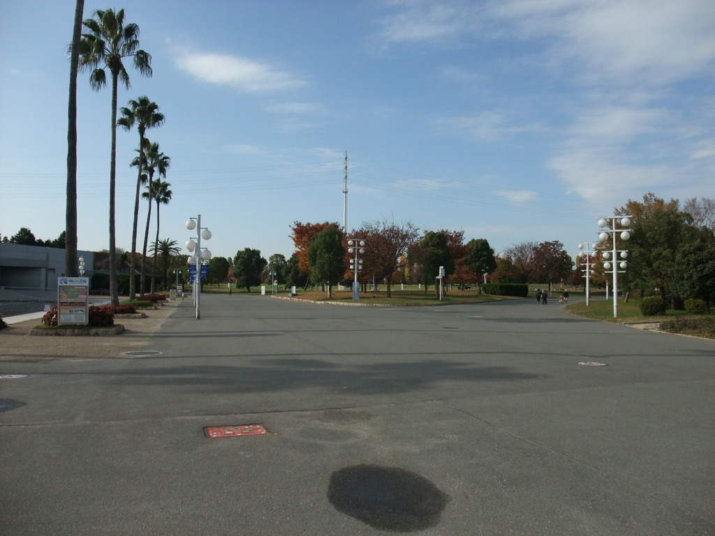 DSCF0248