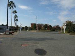 DSCF0248