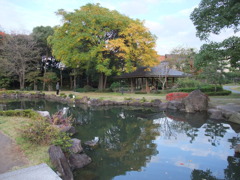 DSCF0153