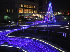 DSCF0316