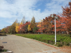 DSCF0237