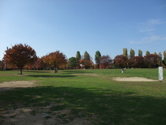 DSCF0257