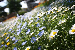 あお・しろ・きいろ