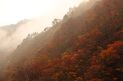 赤芝峡の朝霧