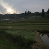 早朝の棚田