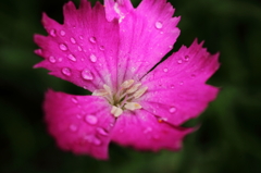 雨の日の旅立ち