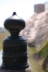 お城にかかる橋