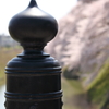 お城にかかる橋
