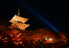 晩秋の清水寺