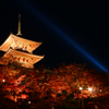 晩秋の清水寺