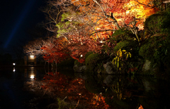 紅葉と池
