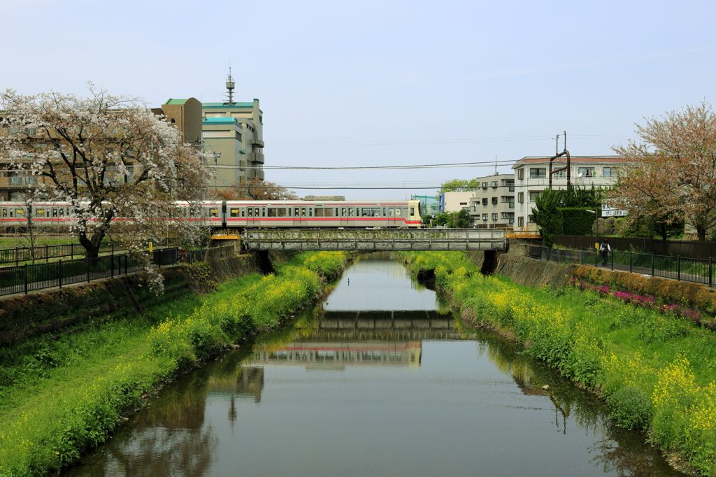 野川にて