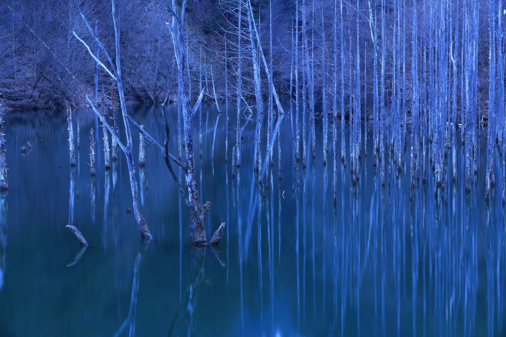 静寂を楽しみ湖畔を歩く