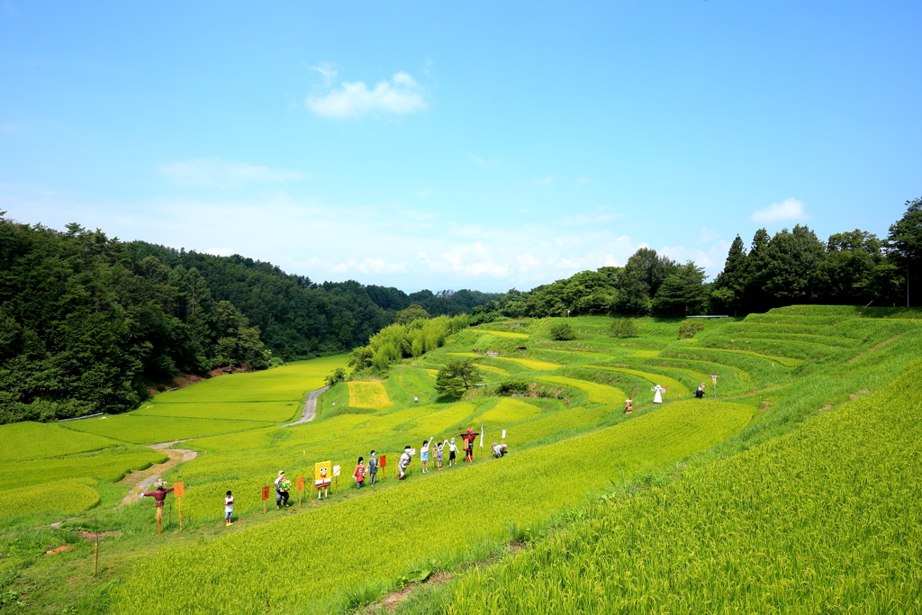 お～い、僕はここだよぉ！