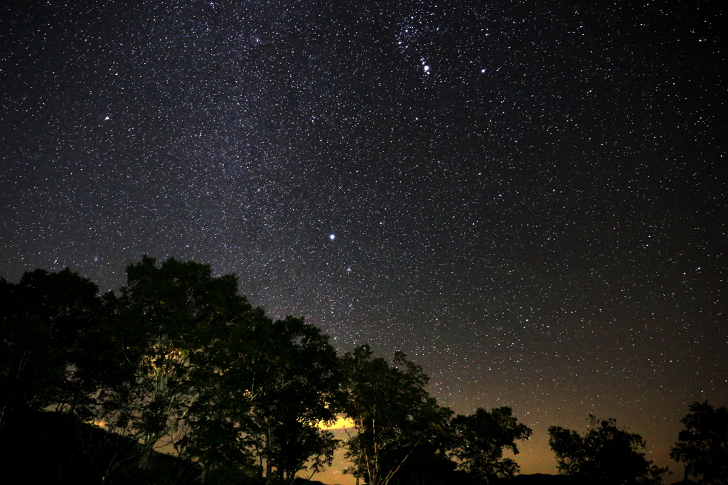 しらびそ高原で見た満天の星々