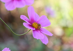 ８