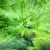 GreenShower