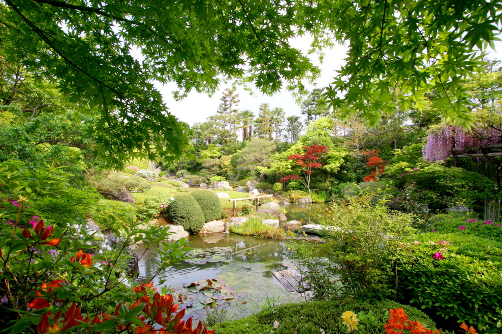 楽園