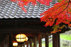 灯