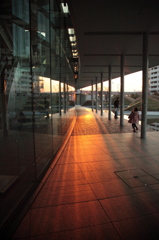 setting sun
