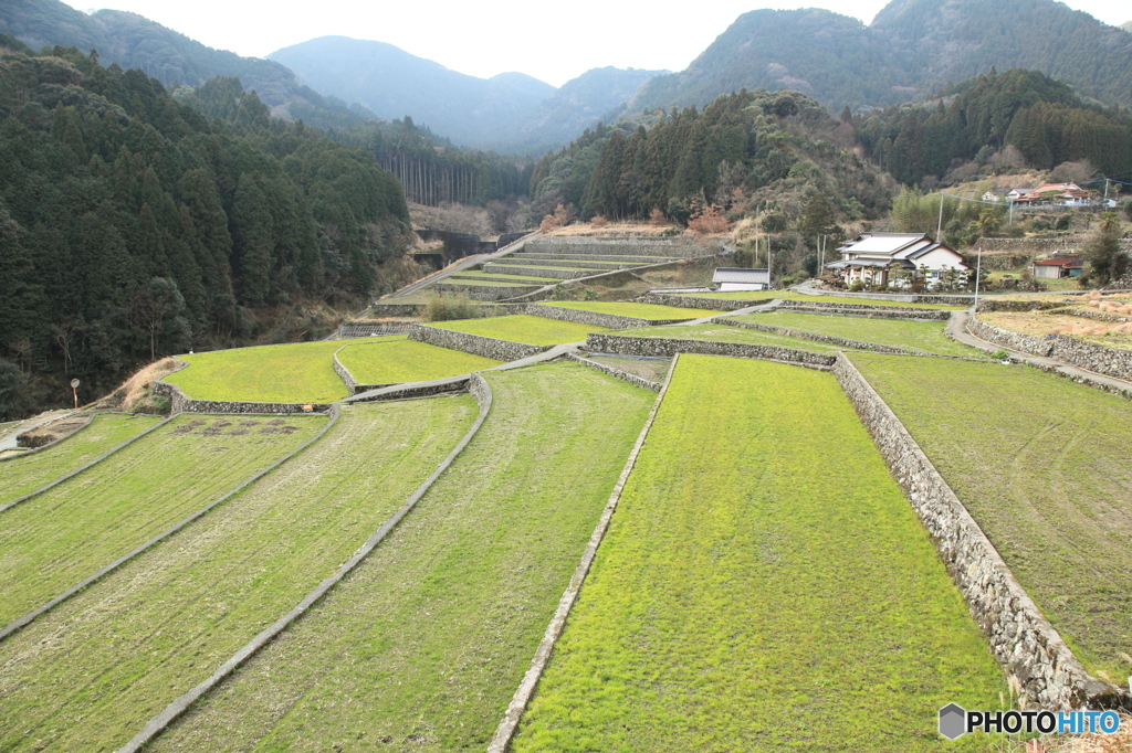 竹地区の棚田