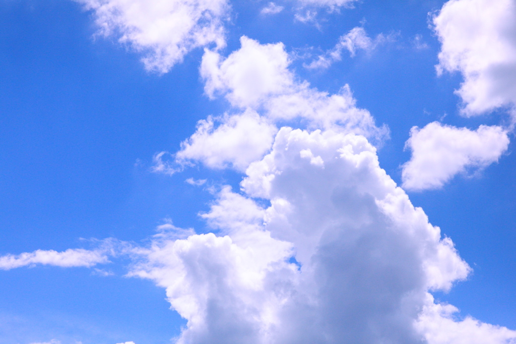 skyhigh
