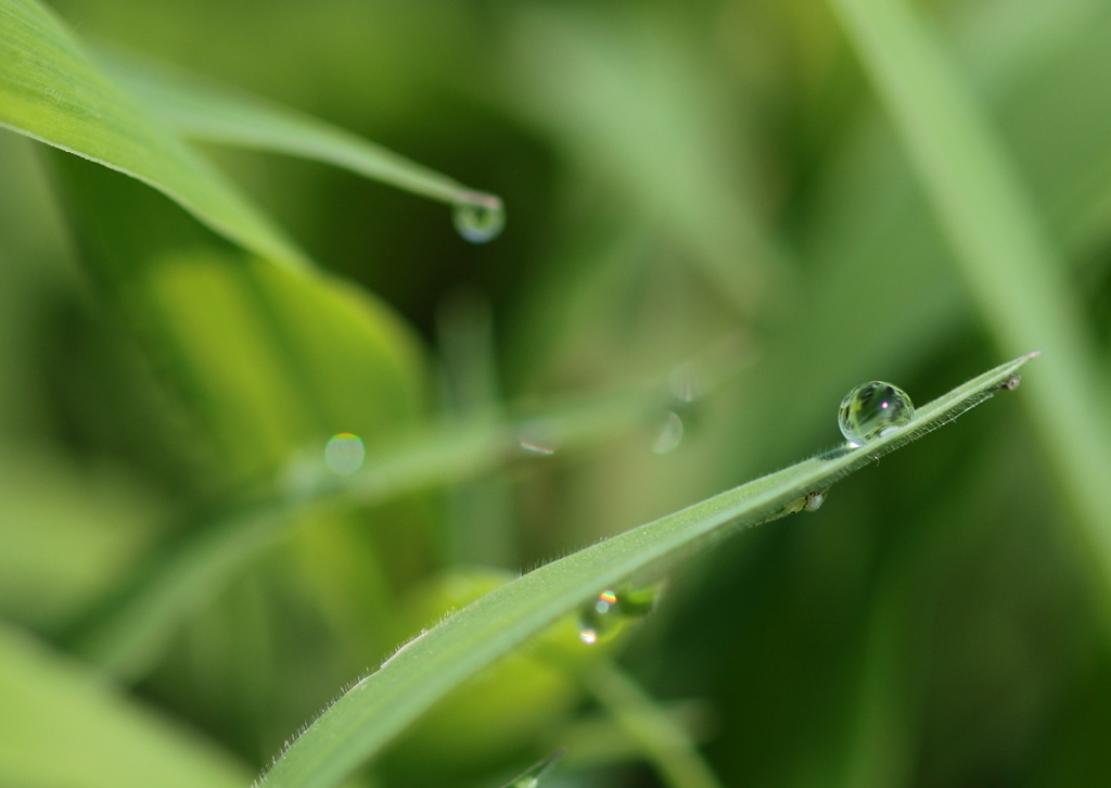 a drop