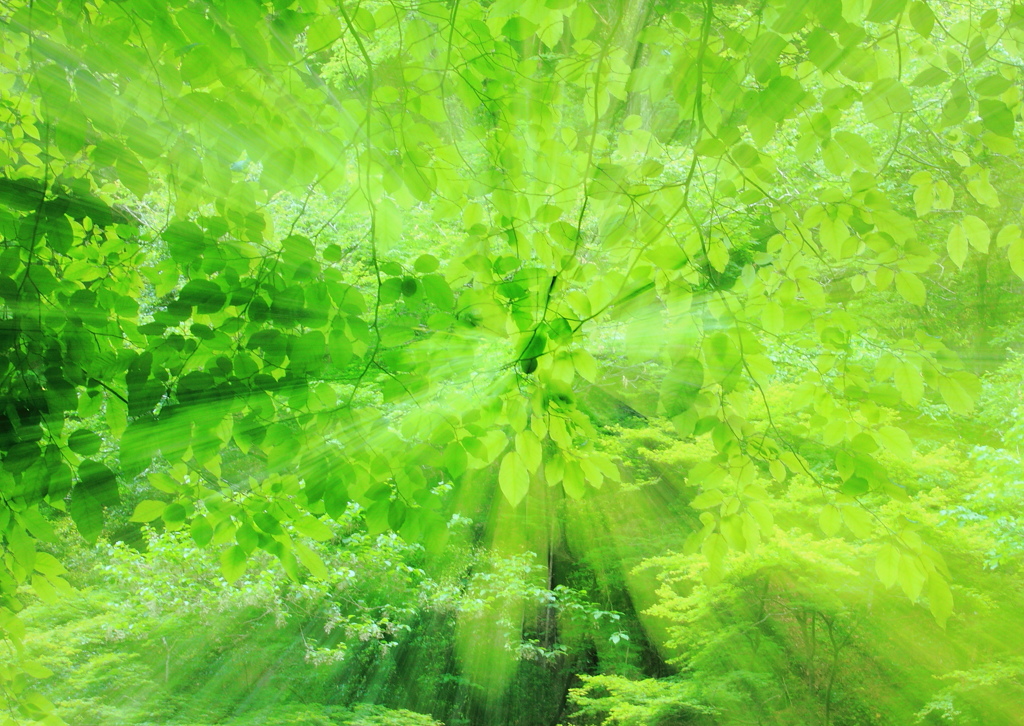 GreenShower