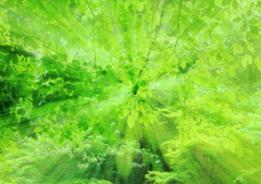 GreenShower