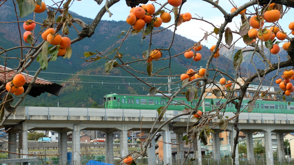 湖西線