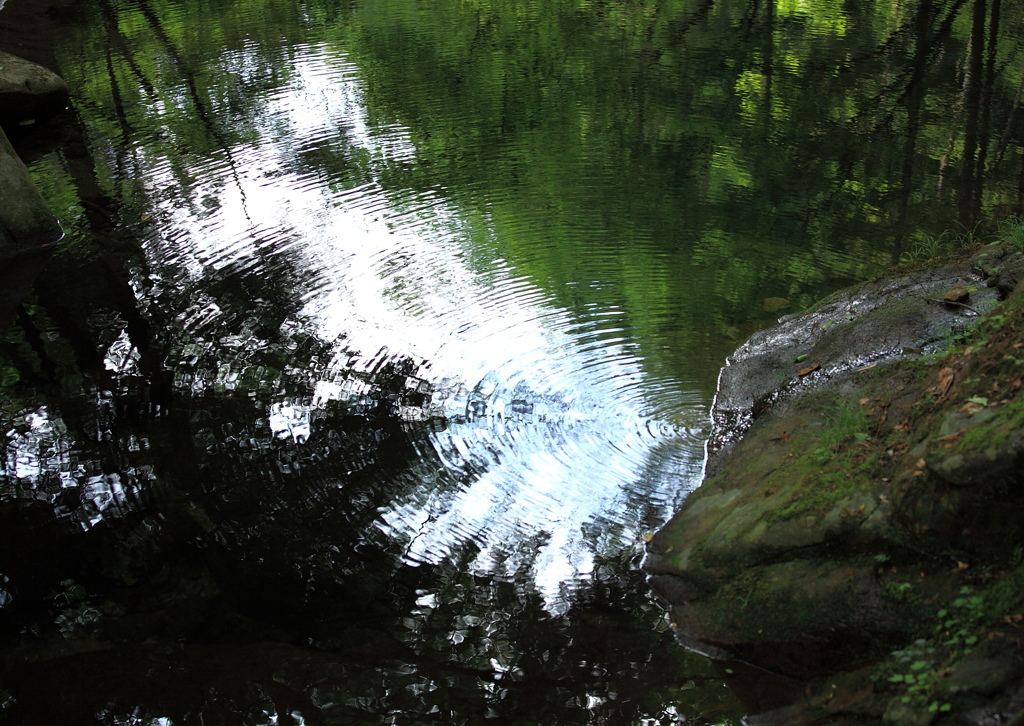 concentric circles