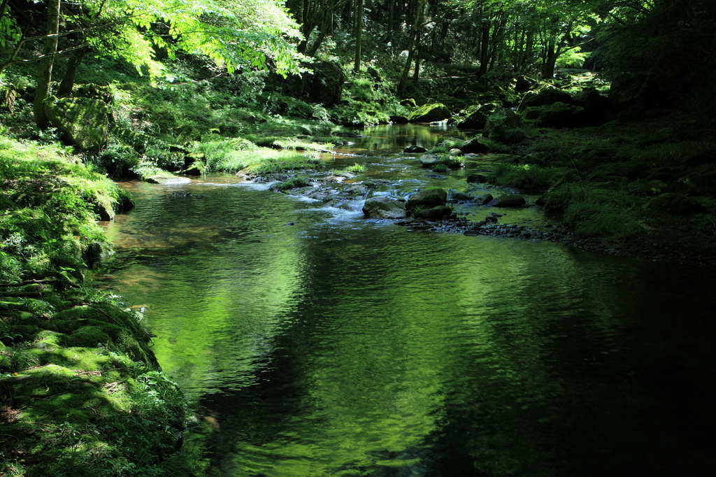 水面