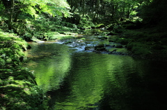 水面