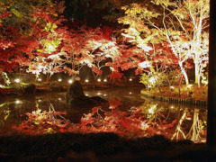 あじさい寺_05