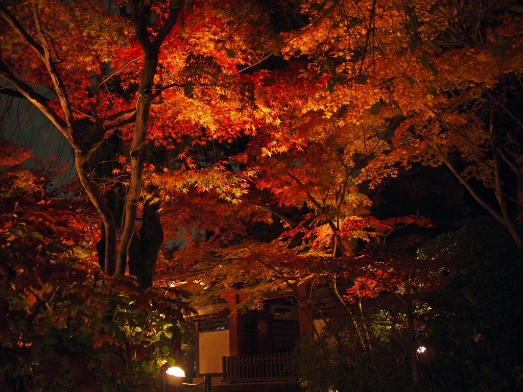 あじさい寺_01