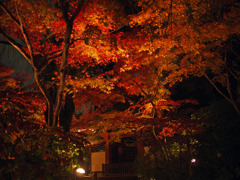 あじさい寺_01