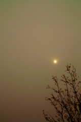 SDIM4963