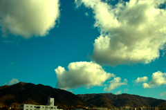 SDIM4919