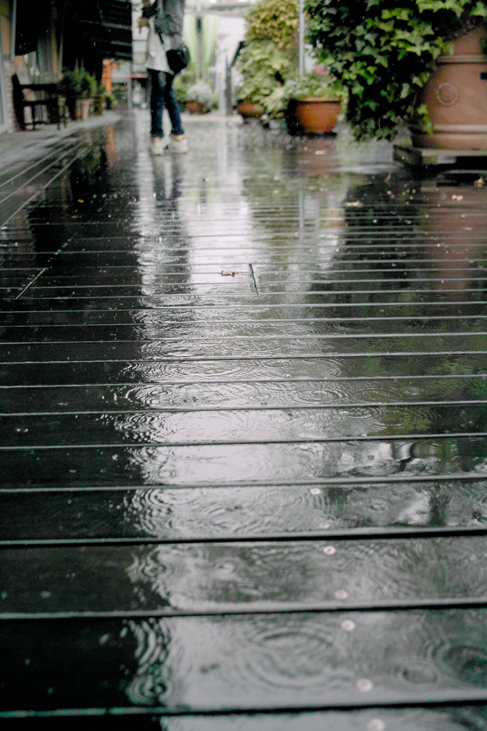 SDIM0829