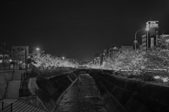 SDIM4392