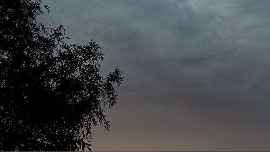 SDIM0566