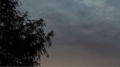 SDIM0566