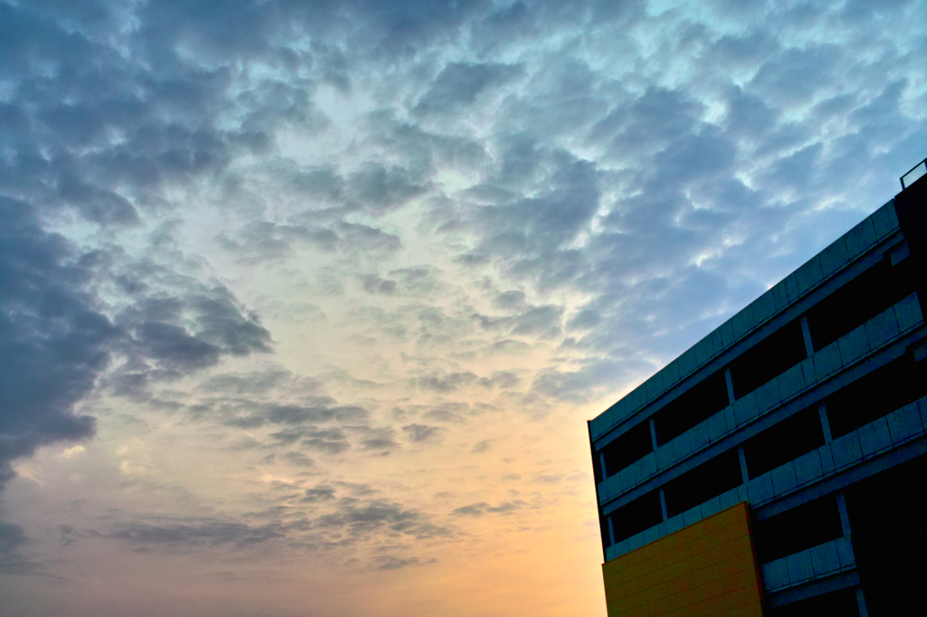 Between the orange and the gray