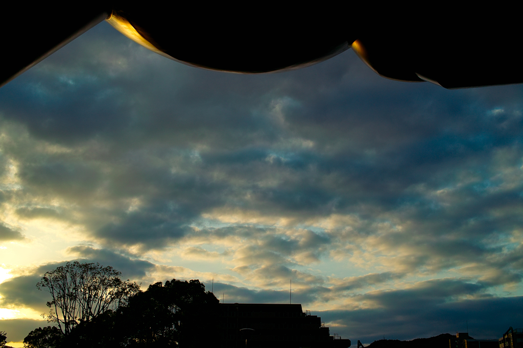 SDIM0308