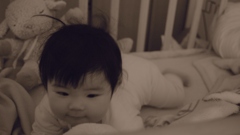 SDIM0377