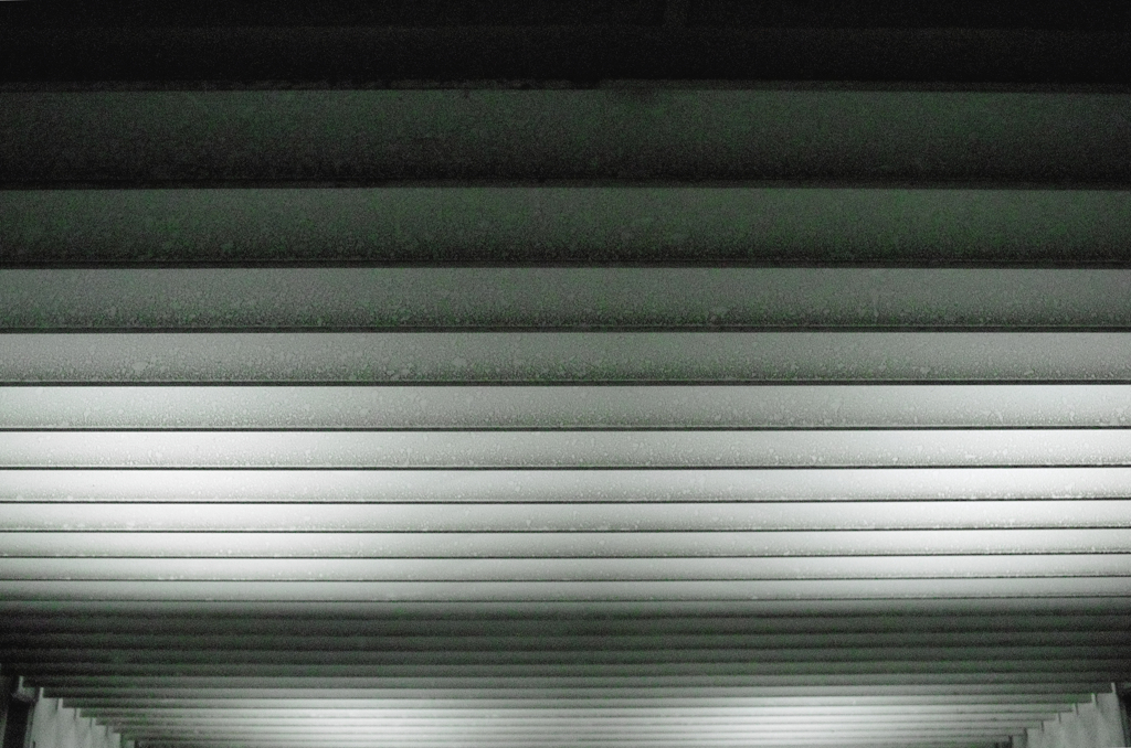 LINES