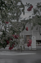 SDIM0112