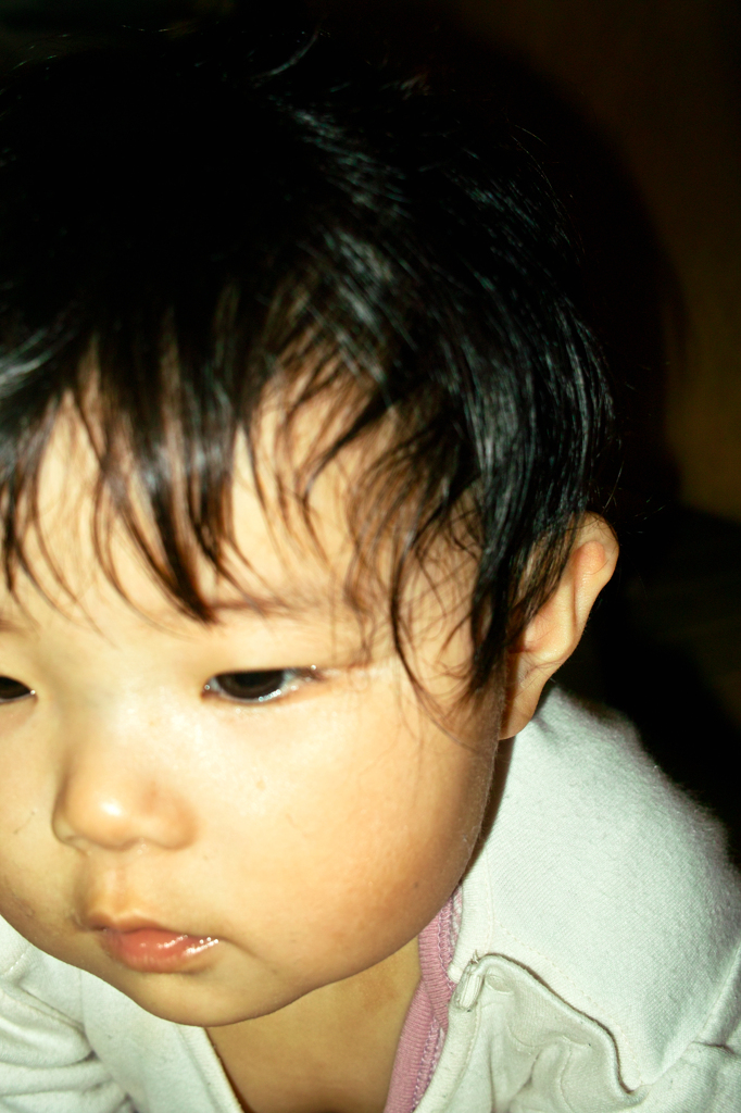 SDIM0730