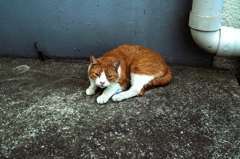 SDIM0182