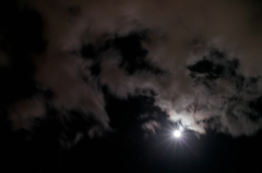 SDIM0924